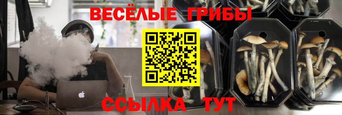 Псилоцибиновые грибы мицелий Ялта