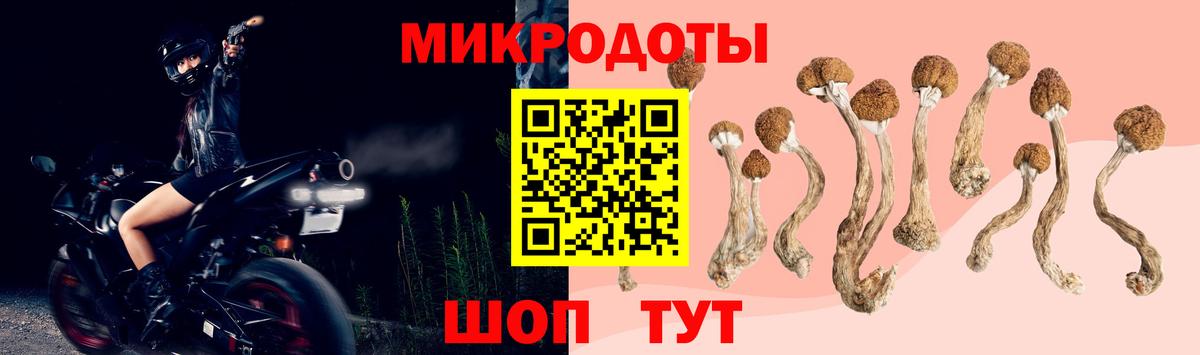 Галлюциногенные грибы Psilocybine cubensis  Вход с VPN  Галлюциногенные грибы мухоморы  Ялта 